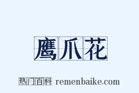 鹰爪花是什么意思的图片